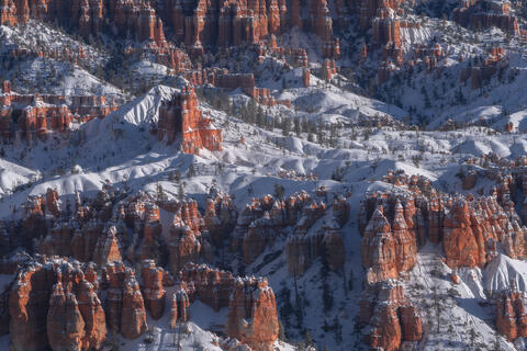 Desert Southwest