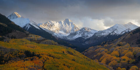 Why Canvas Prints Are a Great Choice for Timeless Wall Art