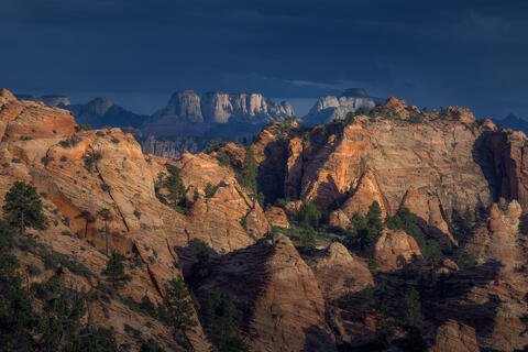 Golden light illuminates the West Temple from Kolob Terrace Road in Zion National Park.