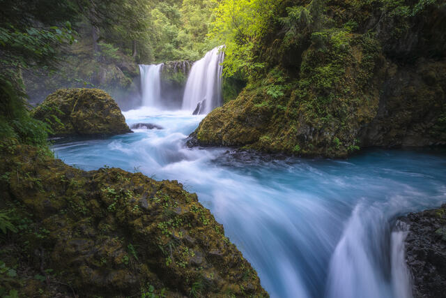Oasis