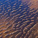 Gold Rush