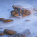 Tidal Remnants